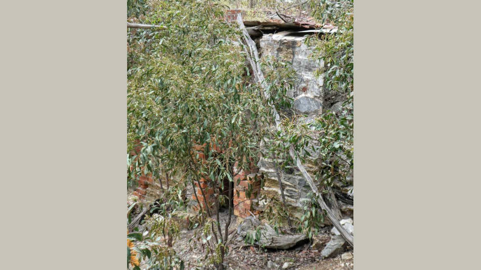 Historic site in Steiglitz