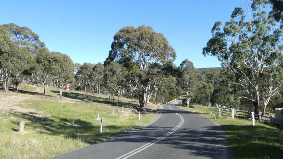 Steiglitz main road through township