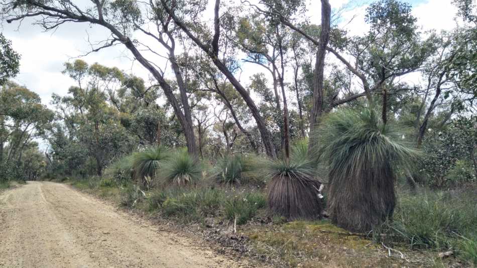 South Steiglitz Road