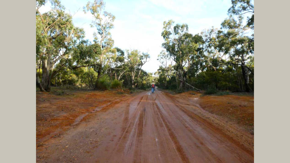 South Steiglitz Road