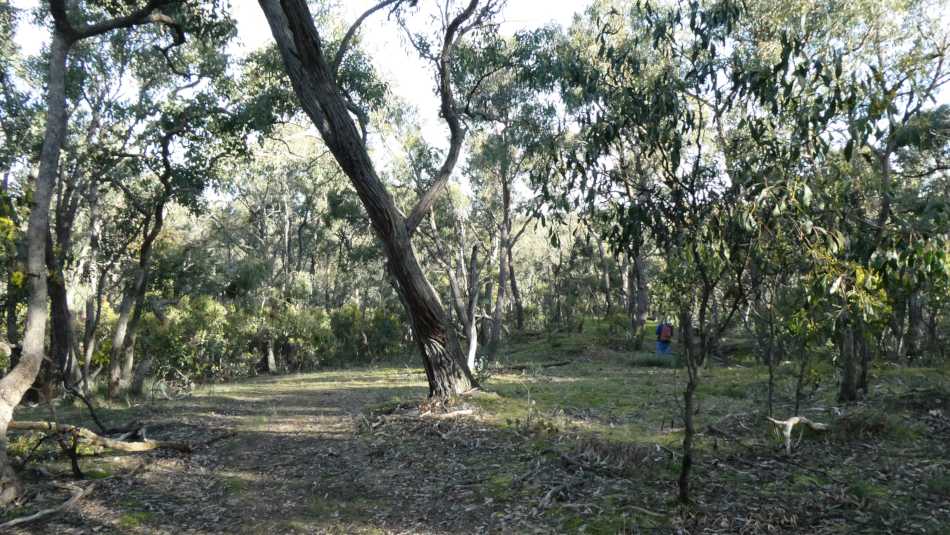 Bushland Steiglitz Historic Park