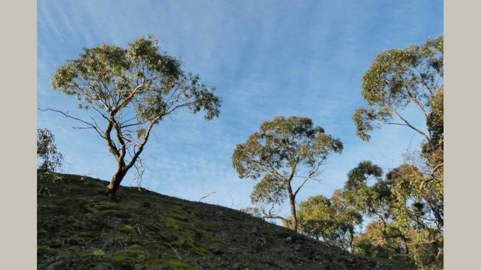 Hill and sky Steiglitz