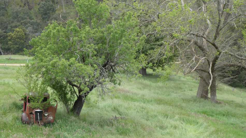 Rusted out truck from road