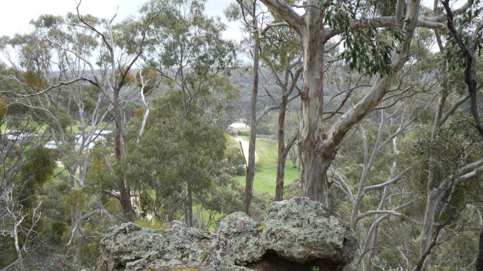 Steiglitz Township viewed from hill