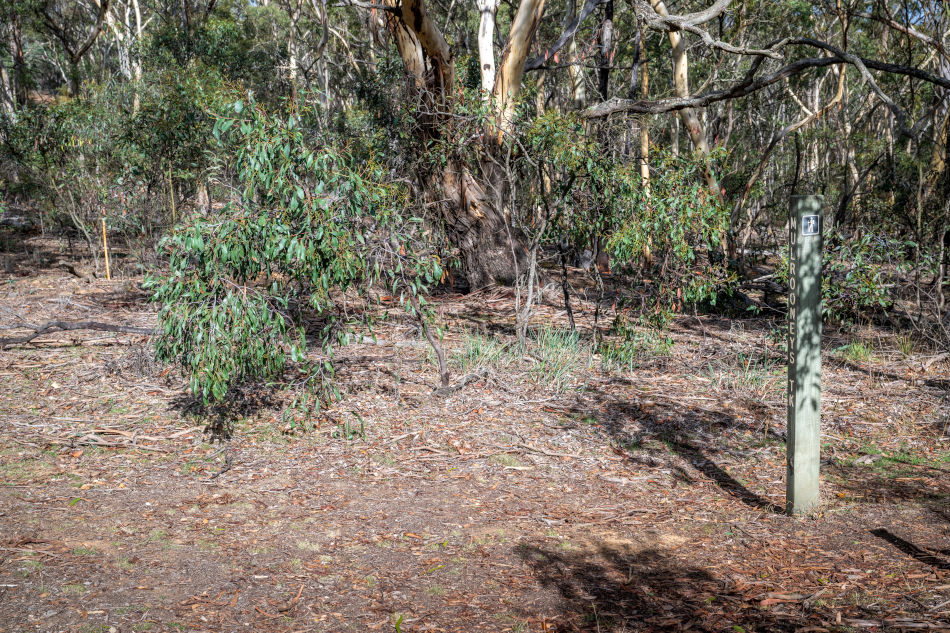 Drill Site SSD27, Mulrooneys walking track, Steiglitz Historic Park