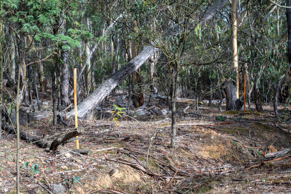 Drill Site SSD27, Mulrooneys walking track