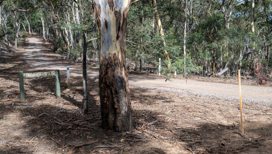 Drill Sites, Pines Car Park