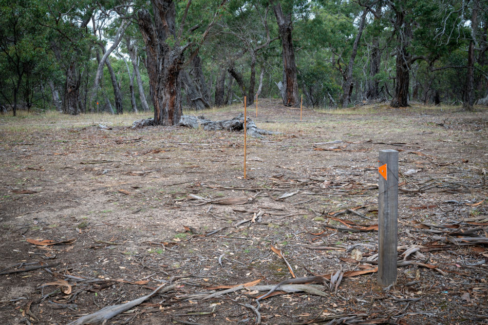 Drill Site on Steiglitz Circuit Walking Track, Steiglitz Historic Park