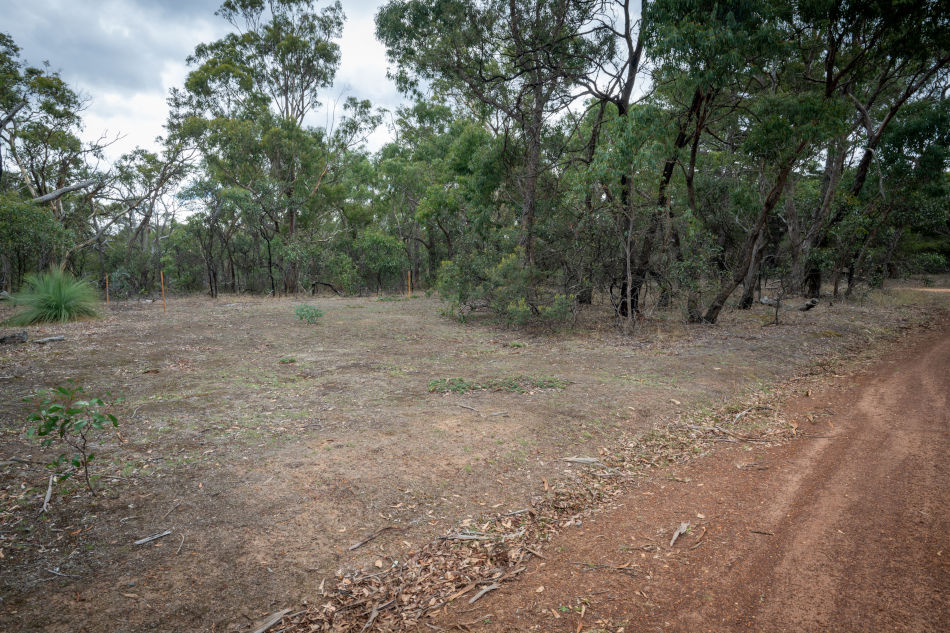 Drill site, Hut Road, Steiglitz Historic Park