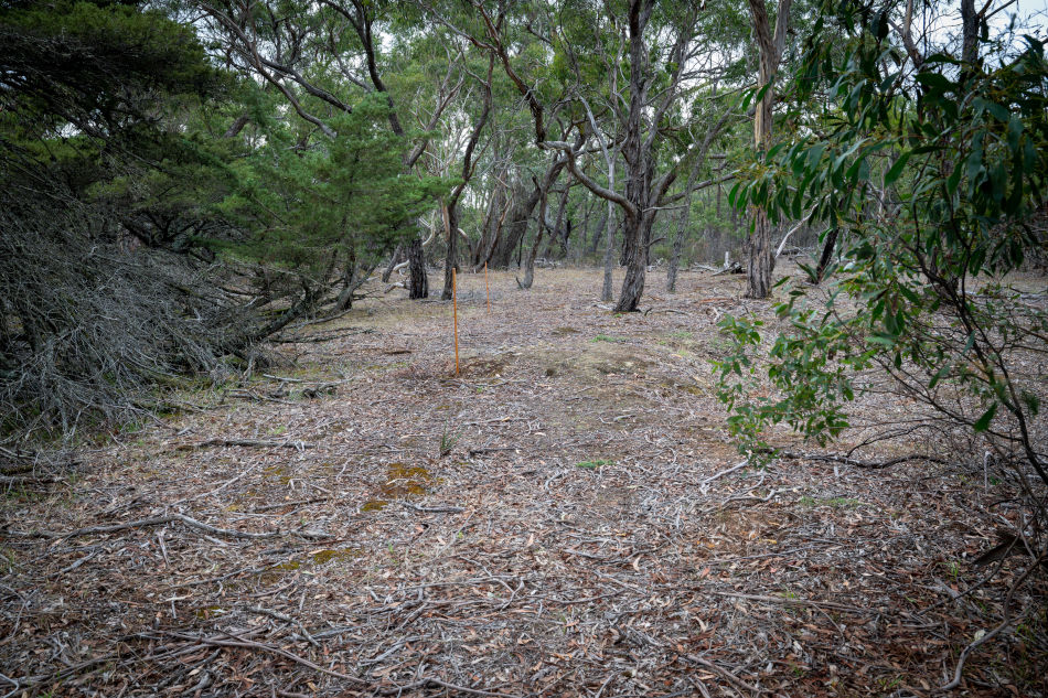 Drill Site SSD13, Alliance walking track, Steiglitz Historic Park