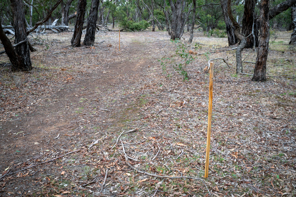 Drill Site SSD14, Alliance walking track, Steiglitz Historic Park