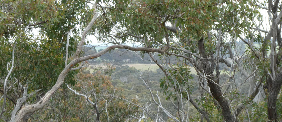 Steiglitz View - Image credit: Kaitlyn Church Photography